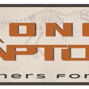 braptor-logo3.jpg