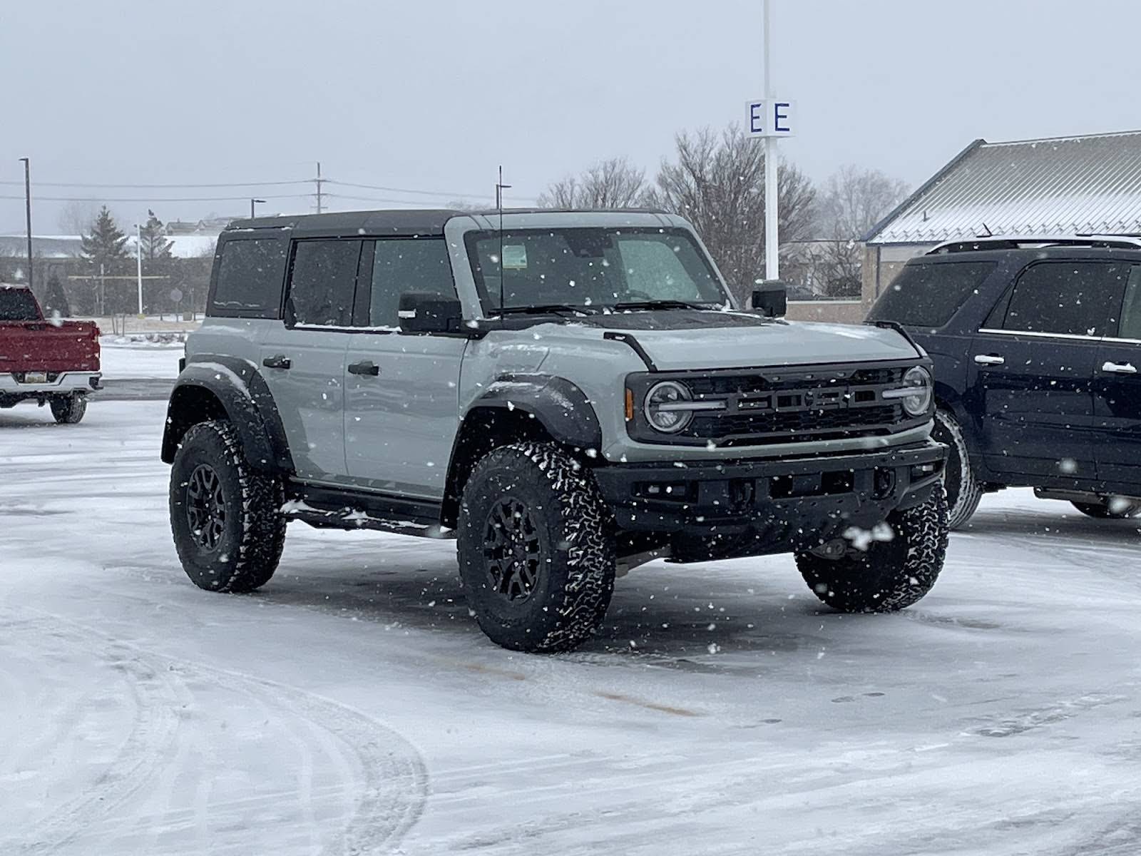 bronco-raptor-cactus-grey-snow.jpg