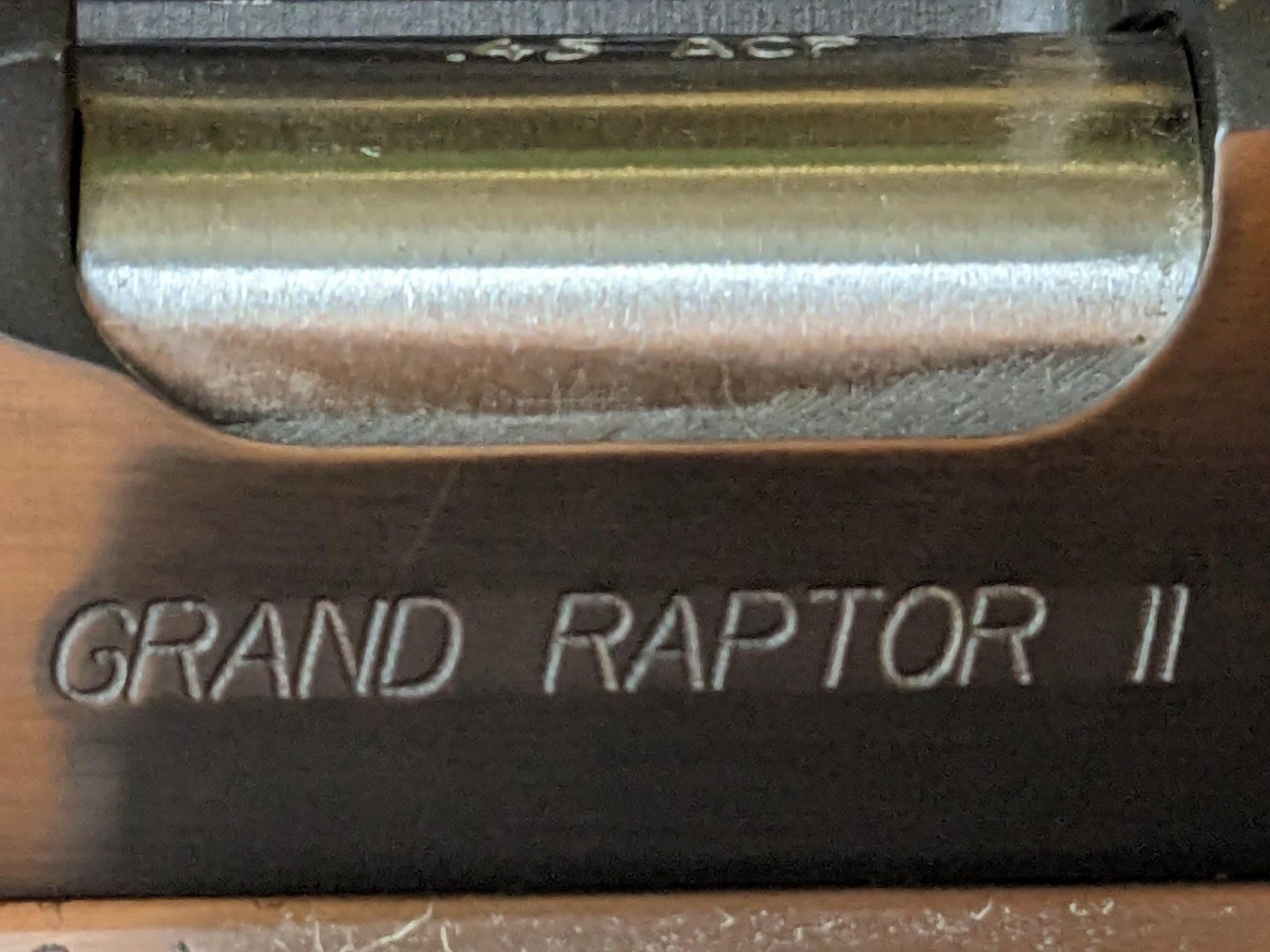 Raptor (2).jpeg